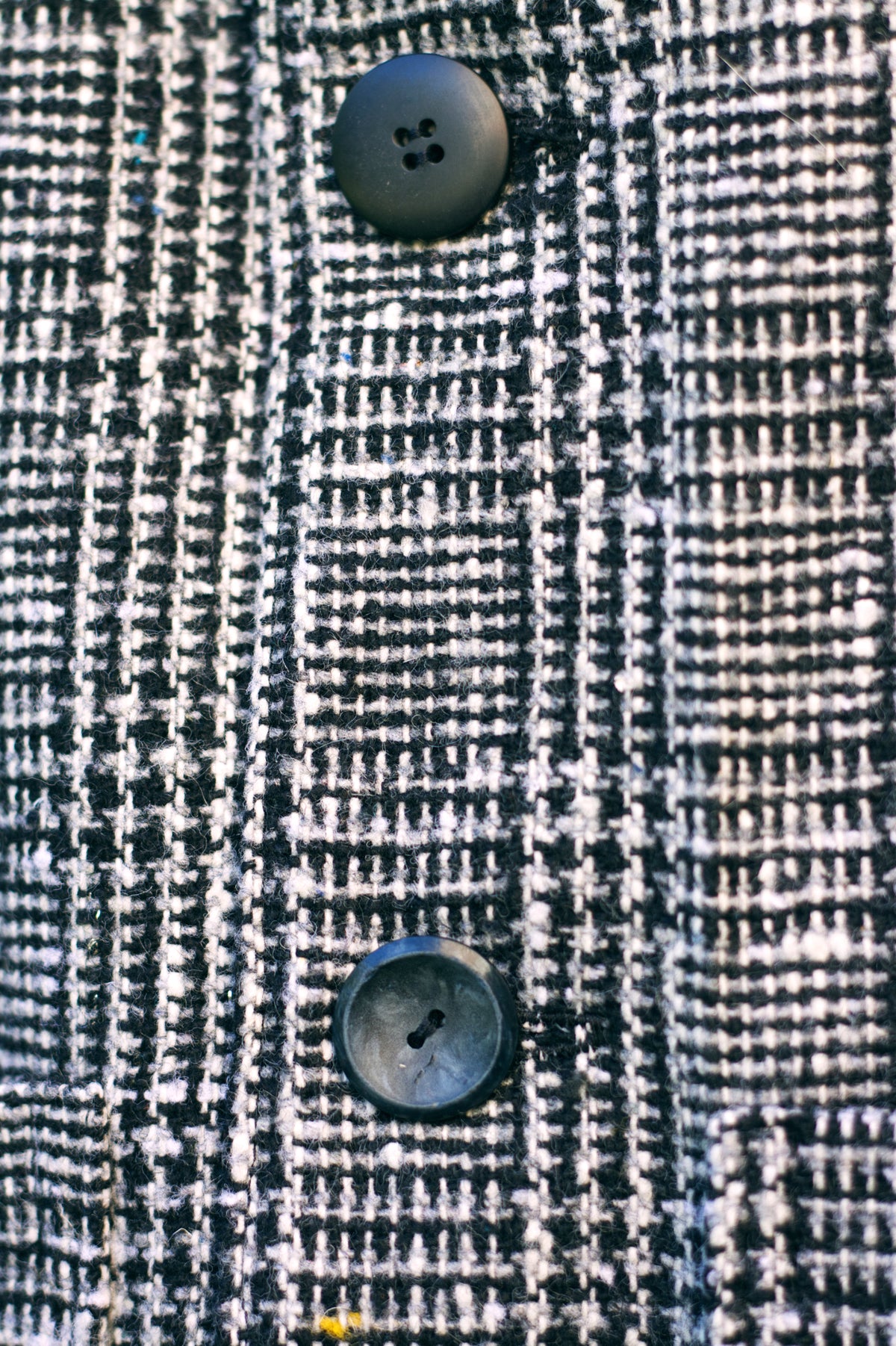 The Archive Jacket - Ink & Ivory